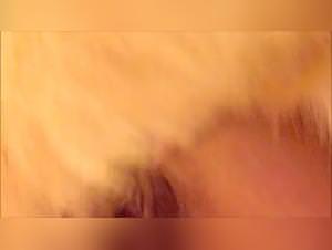 Mature Webcam Dog Sex