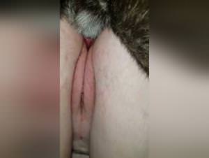 Petlust: Chien Baise Ma Femme - Extreme Sex Videos