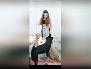 Asian slave doggy style hardcore sex