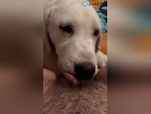 Slut Rides Her Dog, Animal Pleasure