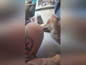 Porno Cu Animale: Dog Fuck Queen (13)