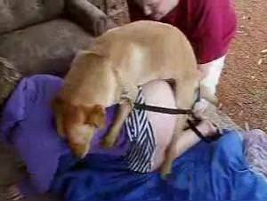 Slut Fucks Dog Porn