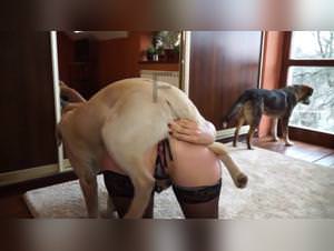 Wild slut gets doggystyle fucked
