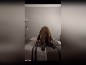 Quick dog fuck with amateur skinny girl