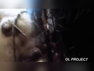 Danna Mexzoo for Sale: Extreme Dog Sex