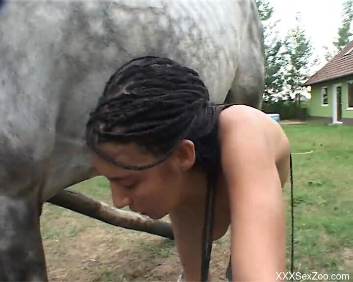 Brunette babe guides horse's monster dick fully down the muff