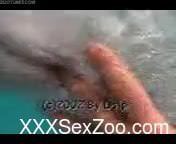 Marine zoophilia to provide scenes of dolphin porn