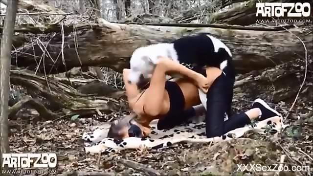 Compilation of hot bestiality fucking on all fours