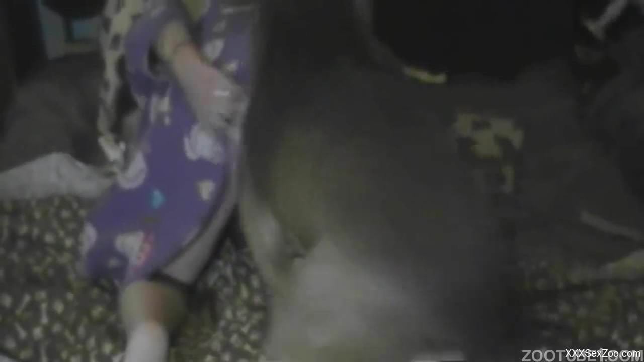 Woman stands and endures rough sex with a dog on camera