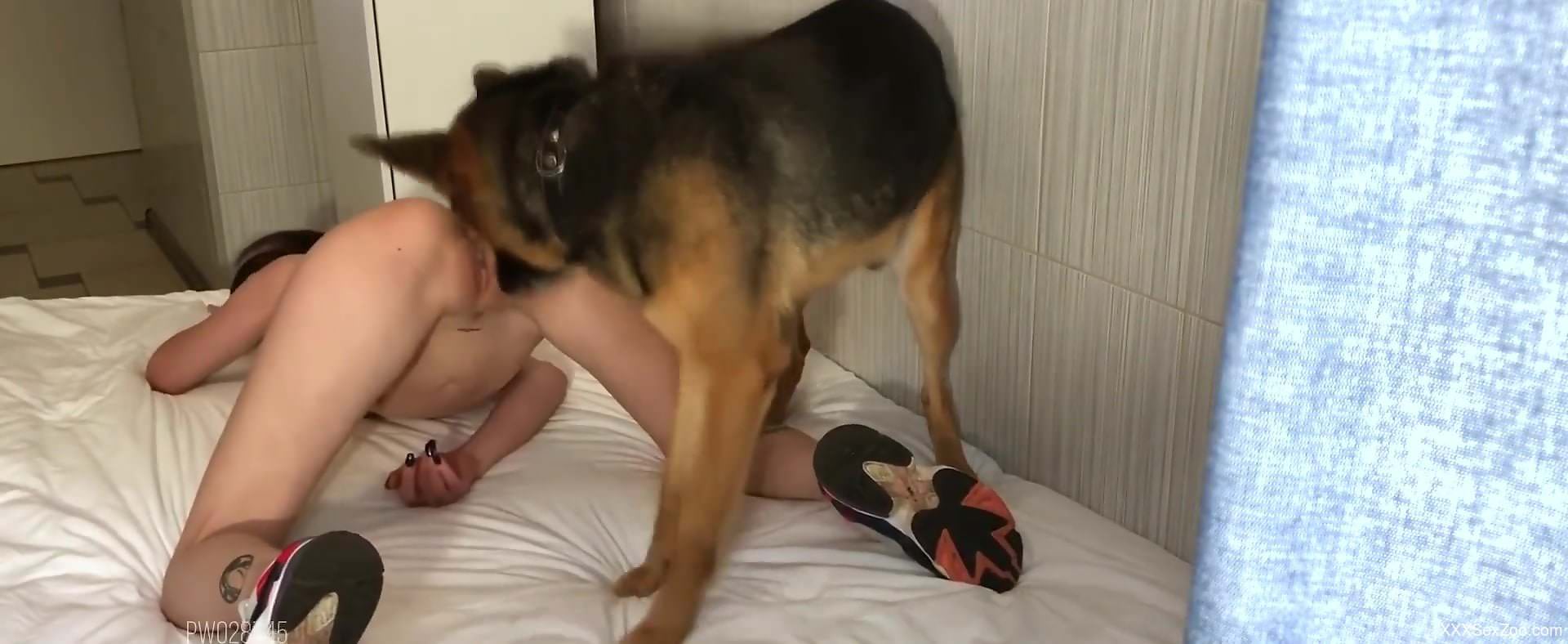 Big-boobed zoophile gal fucking her favorite pet