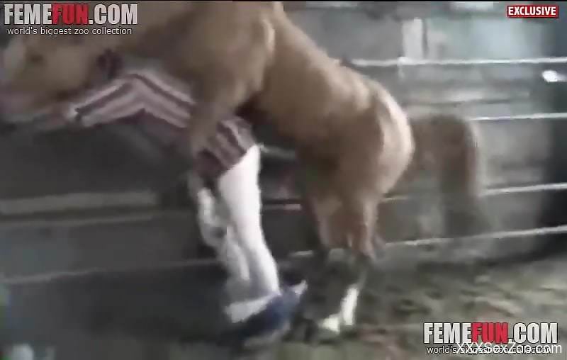 Thirsty farmer gets ass-fucked by a hung horse