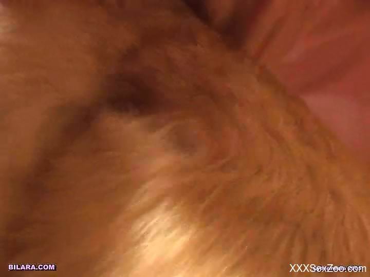 Horny blonde eating a dog's ass after eating its cum