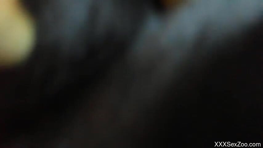 Indian amateur chick filmed when she tries dog dick in the pussy