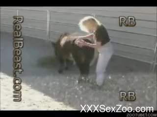 Impressive cutie is playing with her lovely cute pony