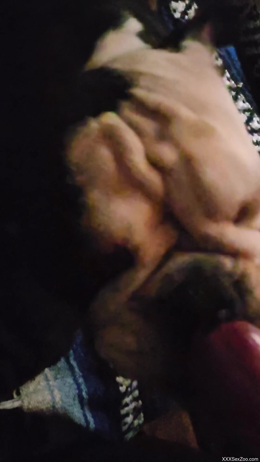 Dog licks man's cock when he jerks off on cam