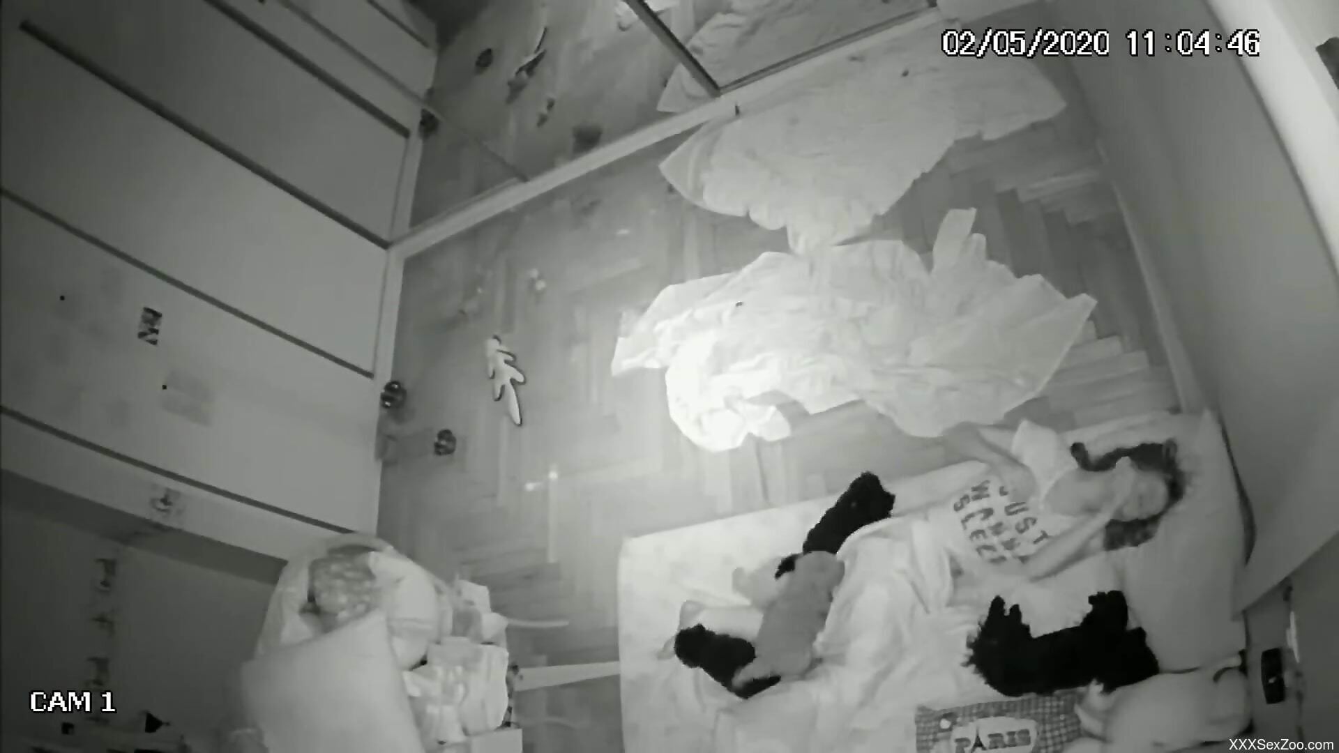 Amateur gets secretly filmed when trying sex with a dog