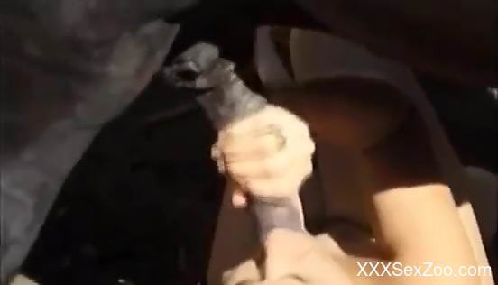 Blonde woman sucks the big horse cock in exceptional modes