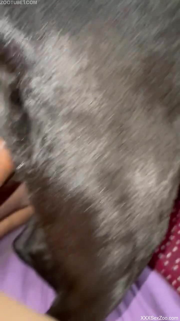 Dude is going to drill that dog's opening brutally