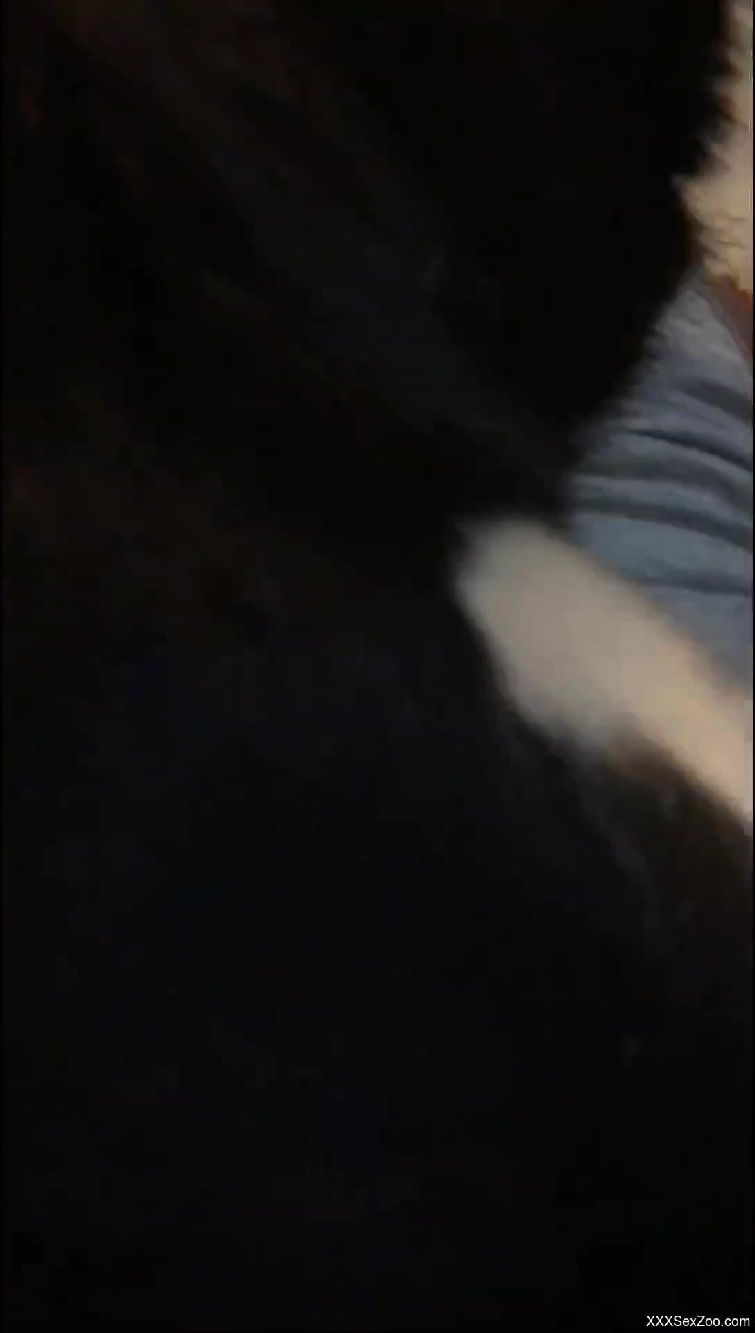 Animal sets its sights on that tight fucking hole