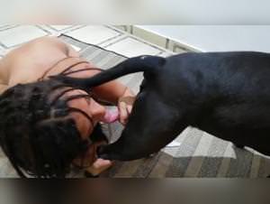 See how these sluts were fucking lesbian women's cats