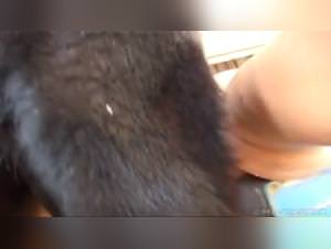 Summer Doggy Zooskool - Extreme Animal Sex