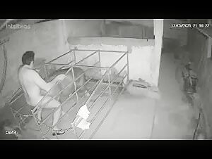 Woman and Pig: An Unusual Encounter