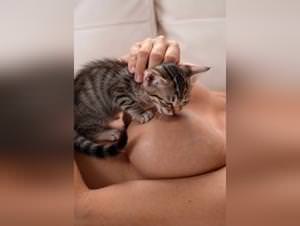 Kitten breastfeeding & nude fuck