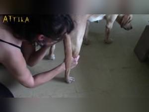 Jesse - Dog fucks Girl 07