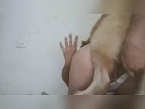 Animal Sex Fun: Hardcore Dog Fucking Videos