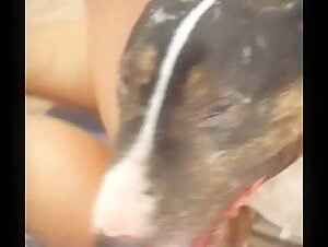 Bestiality: My wife, our dog and me