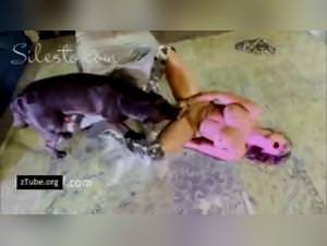 Dog fuckin madness: Hardcore zoophilia scenes