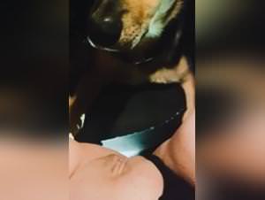 Wild animal fucking frenzy