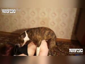 Russian schoolgirl k9 lust