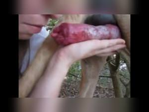 Spanish Girl Dog Fuck 05