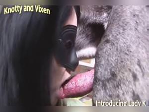 Wild dog sex with filthy bitches, extreme zoo bestiality