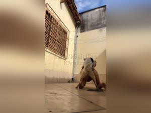 Dog school: hardcore animal fucking