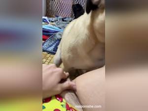 Teen girl dog sex: hd real footage