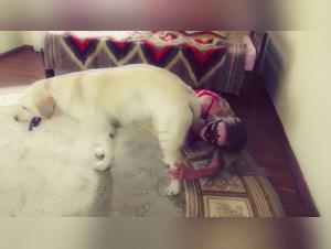 Sex with dog: artofzootography extreme Sonya slut