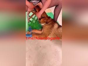 Farm wife asian dog sex pleasure
