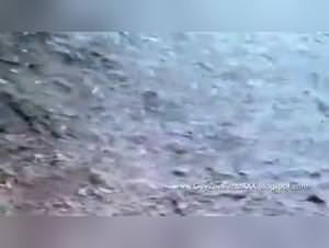 Horse Sex Fury: Woman Unleashed