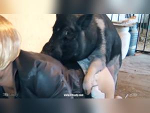Bestiality taboo: bitch fucks her pig raw