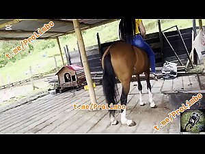 Homemade beastiality dog sex tube creampie creampie tube