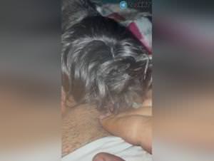 Girl Dog Licking - Extreme Porn