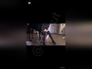 Teen Dog Sex Hardcore Video