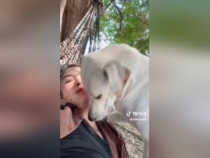 Girl dog tiktok frenzy video