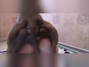 Dog brutal fantasy unleashed