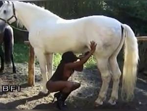 Deep Animal Sex: Dog Sucker XXX Videos