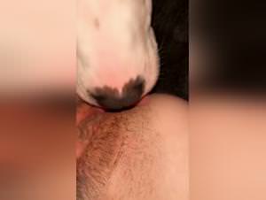 Girl Extreme Dog Sex