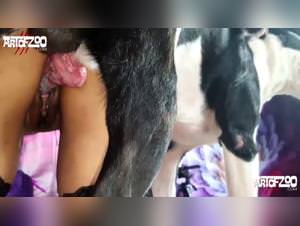 Denise frazier video with dog, alyzoo, blonde salope fuck her dog