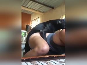 Brazilian bitch fucks dog hard